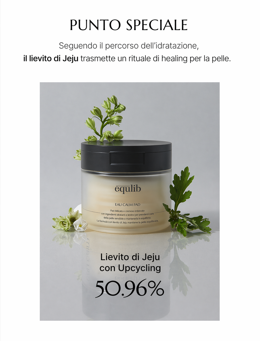 equlib EAU CALM PAD (100 EA)