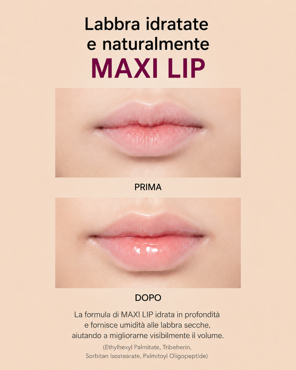 ID.AZ FACE FIT LIP FIT-LER #01