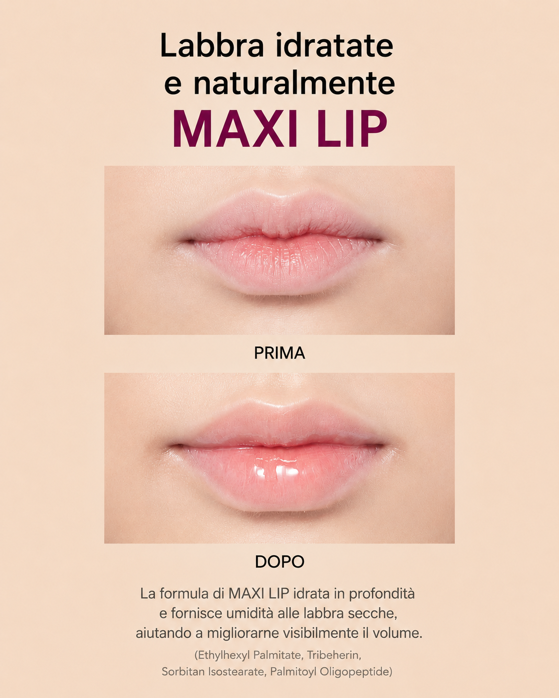 ID.AZ FACE FIT LIP FIT-LER #01